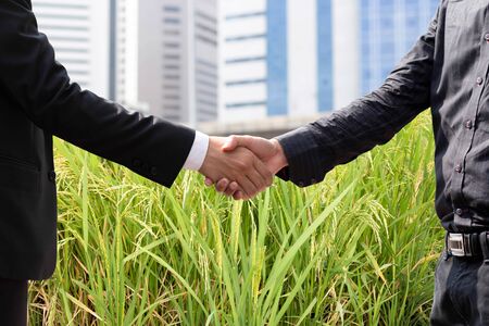 Conceptual Hand shaking agreement of businessman with on rice field over city buildingの写真素材