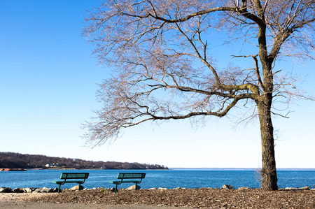 Public chair with tree at seaside in winter time in blue skyの写真素材