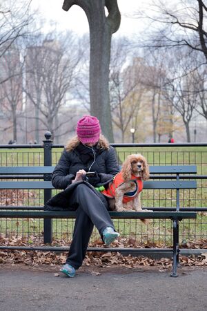 Unidentified woman using cell phone and dog sitting on the bench in public parkの写真素材