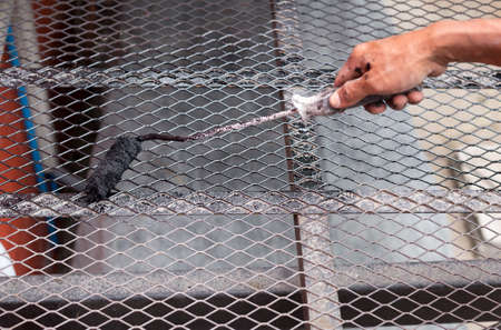 Hand holding paint roller applying black paint on metal stair outsideの写真素材