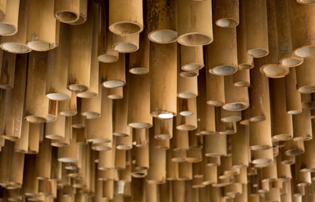 Background of cutting bamboo hang on ceiling with light bulbの写真素材