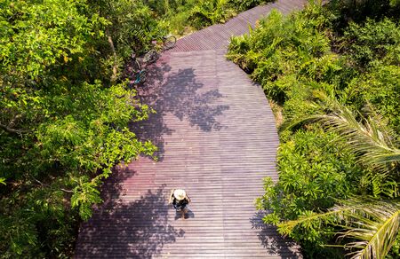 Top view young woman walking on wooden deck in a forest in summer timeの写真素材