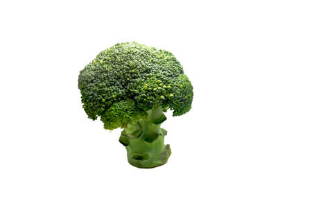 Fresh organic raw broccoli isolated on white backgroundの写真素材