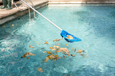 Cleaning swimming pool of fallen leaves with blue skimmer in summer timeの写真素材