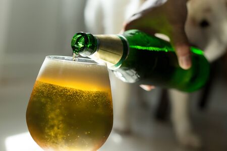 Hand pouring beer into glass with dog in backgroundの写真素材
