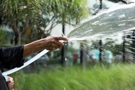 Woman watering the garden with garden hose water in summerの写真素材