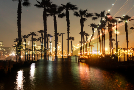 Double exposure palm trees with bridge and city building at night in high contrastの写真素材