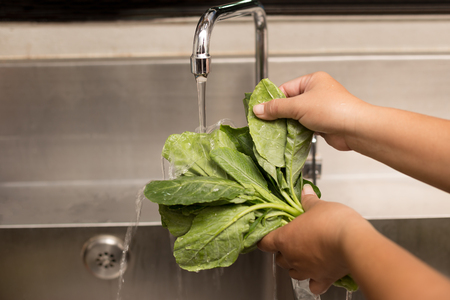Hand washing green organic vegetables in kitchen sink with running waterの写真素材