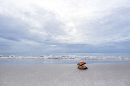 Beach with ocean in blue sky and sea shell in foregroundの写真素材