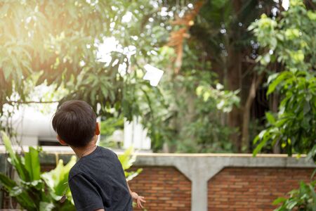 Little boy playing with a paper plane in the garden with sunlightの写真素材