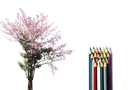 Environment conceptual tree flower with color pencils isolated in white backgroundの写真素材