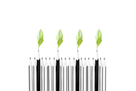 Environment conceptual tree sprouts on top of the pencils isolated in white backgroundの写真素材
