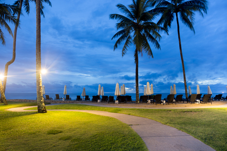 Beautiful blue sky with palm tree, umbrella and beach chair on the tropical island at sunsetの写真素材