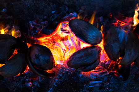 Abstract backgroung pattern of burning spathe of coconut bright bonfireの写真素材