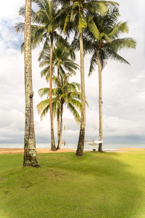 Hammock hanging between coconut trees on the beach in tropical islandの写真素材