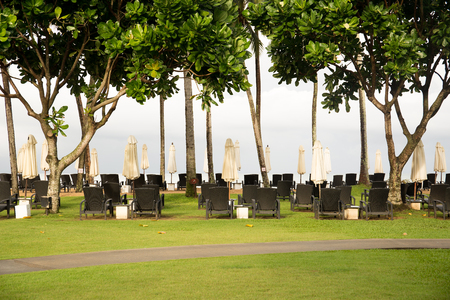 Sun beds and umbrellas with tree on the beach in tropical islandの写真素材
