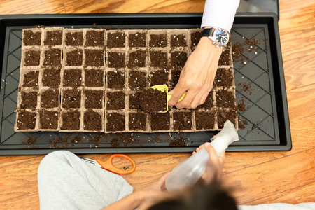 Father and son planting seeds into fertile soil in germination trayの写真素材
