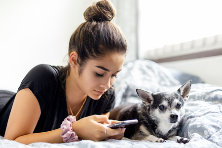 Mixed race teenage girl using cell phone with chihuahua dog next to her side in bed.の写真素材