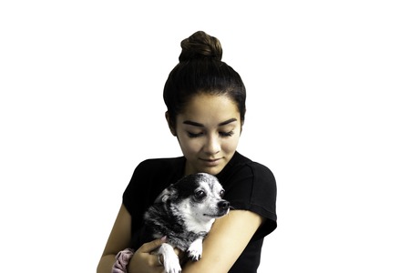 Beautiful mixed race teenage girl holding chihuahua dog isolated in clipping path.の写真素材
