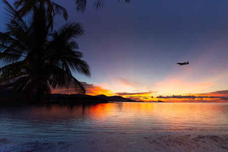 Silhouette coconut palm tree and plane flying over the sea with sunset in koh samui islandの写真素材