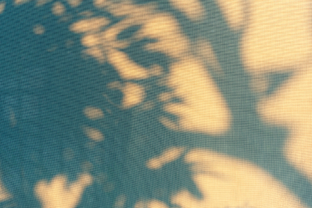 Abstract shadow background of natural leaves tree branch falling on window curtain texture.の写真素材