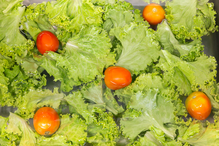 Fresh vegetables washing in kitchen sink healthy care concept.の写真素材
