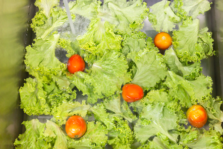 Fresh vegetables washing in kitchen sink healthy care concept.の写真素材
