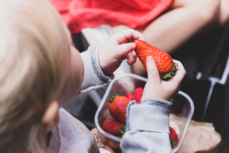 Childs hand holding fresh red strawberry ready to eat.の写真素材