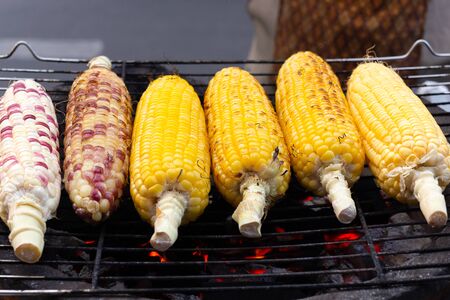 Grilled corn on the cob on the hot stove with charcoal.の写真素材