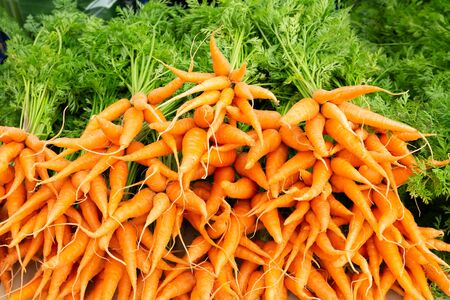 Bunch of fresh organic carrots at market.の写真素材
