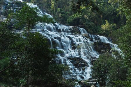 Nature rainforest landscape of Mae Ya Waterfall In Chiang Mai.の写真素材