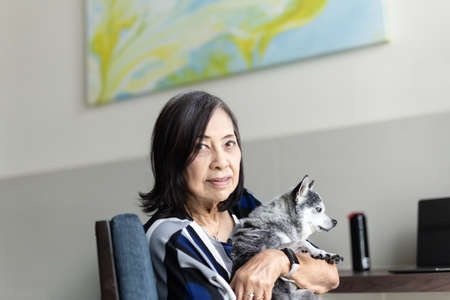 Senior woman holding cute small chihuaha dog.の写真素材