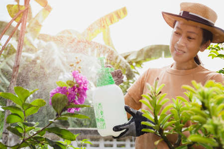 Beautiful asian woman in hat watering plant by foggy spray bottle in garden. outdoorの写真素材