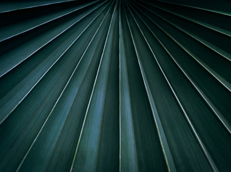 Color tone dark of green tropical palm leaves pattern backgroundの写真素材