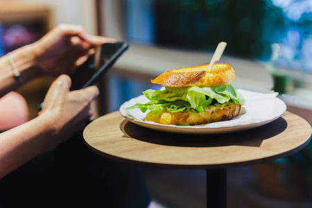 Front view of vegan sandwich with salad and cheese on a plate.の写真素材