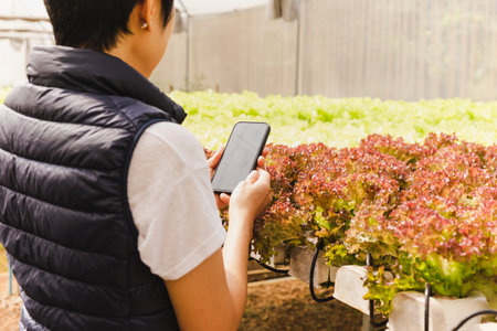 Asian woman farmers using mobile working in vegetables hydroponic farm.の写真素材
