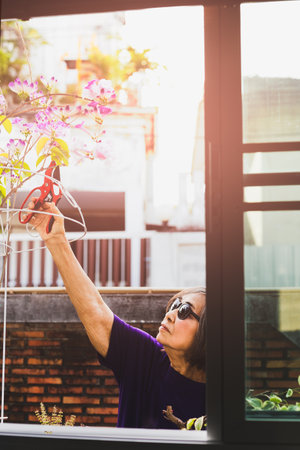 Asian elderly woman trim the branches in the garden at home.