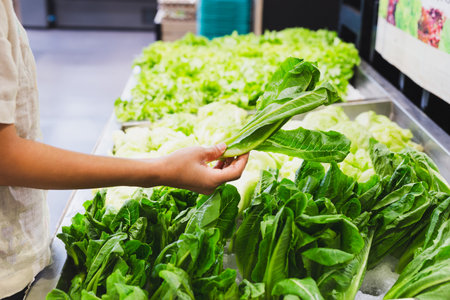 Woman choosing fresh lettuce salad at vegetables store in super market.の写真素材