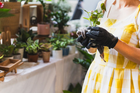 Cropped shot of unrecognizable woman holding potted flower plant in garden shopの写真素材