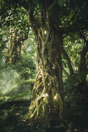 Big tree with root in a green forest