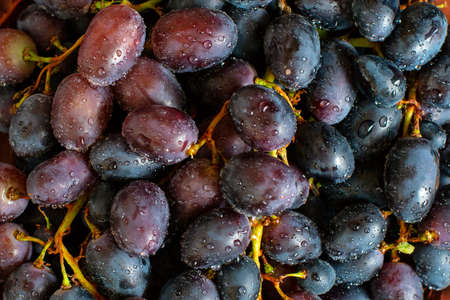 Background of freshly picked grapes.の写真素材