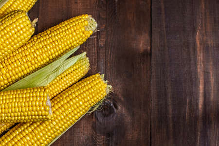 Fresh corn on cobs on dark wooden table. Top view, with copy space.の写真素材