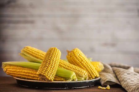 Fresh corn on cobs on dark wooden table. With copy space.の写真素材