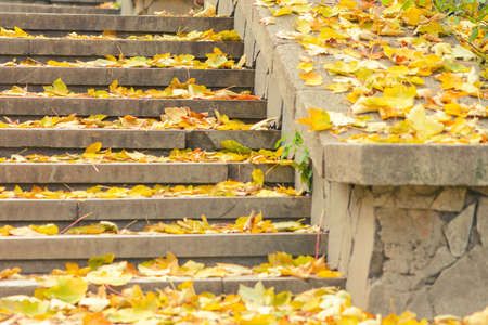 Piles of autumn leaves accumulate on steps.の写真素材