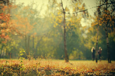 Colorful autumn landscape with blurの写真素材