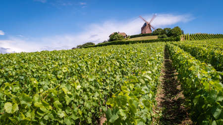Windmill on a hill in the Champagne regionの写真素材