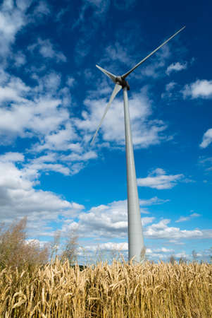 A wind turbine in a wheat cropの写真素材