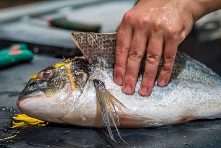 Fish being cut open on a market in France