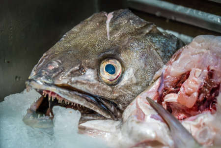 Head of a fish cut on ice at the market in Franceの写真素材