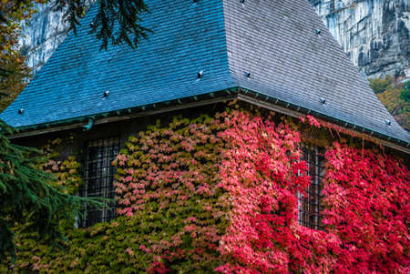Green and red leaves on the tower of the Sassenage castle in France in the autumnの写真素材